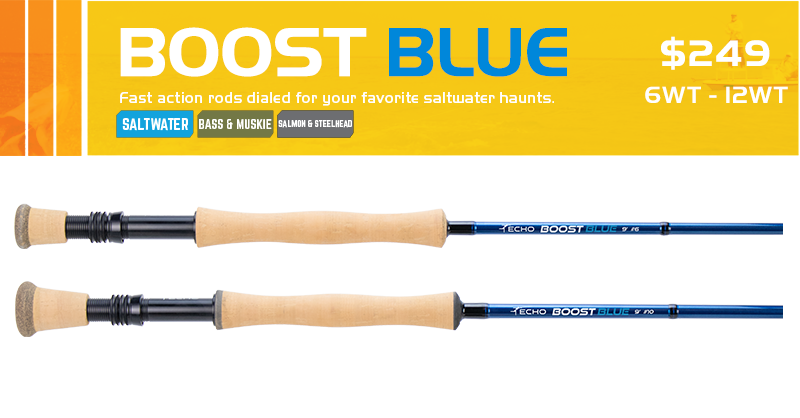 echo rods