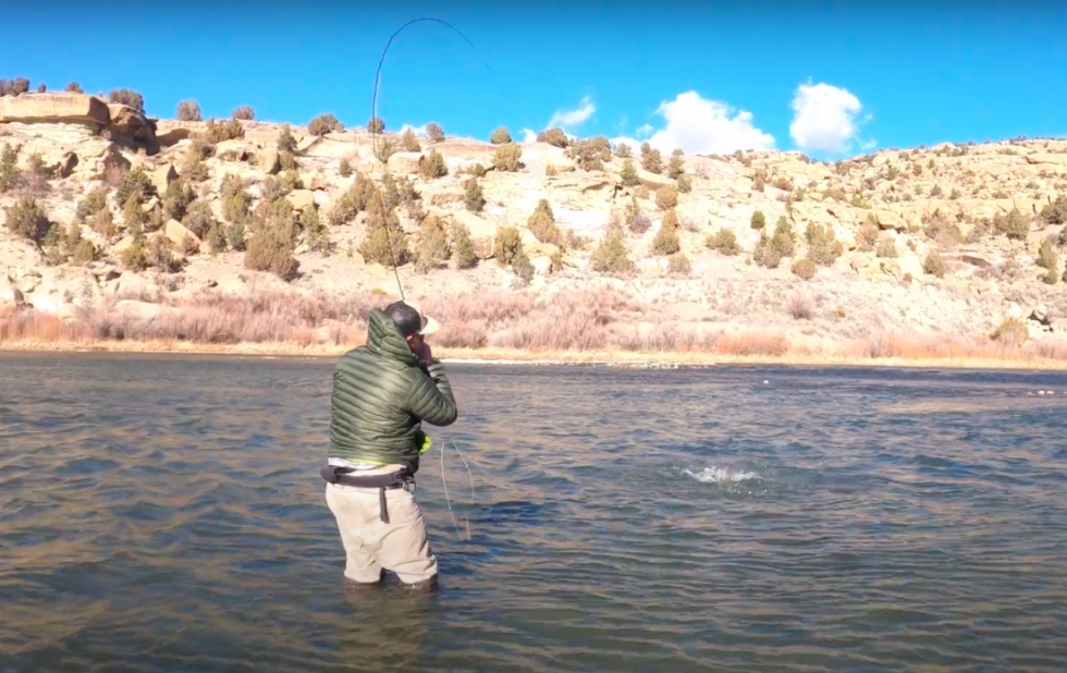 Quality, Affordable Rods & Reels | ECHO Fly Fishing